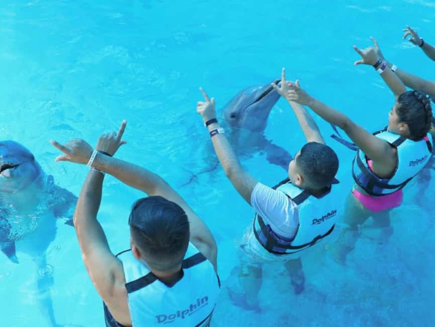 Punta Cana: Dolphin Explorer Park Entry, Swim, or Encounter - Choosing your option: swim, play, or watch from the platform