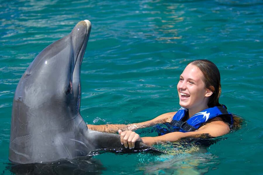 Punta Cana: Dolphin Explorer Swims and Interactions - Key Highlights to Know Before You Go
