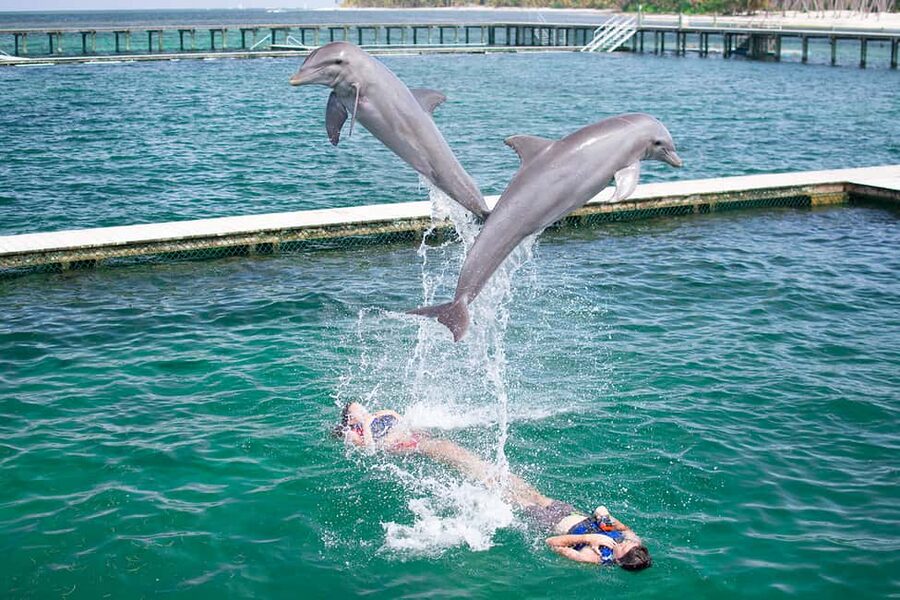Punta Cana: Dolphin Explorer Swims and Interactions - La Altagracia Base, Hotel Pickup, and What the Start Looks Like