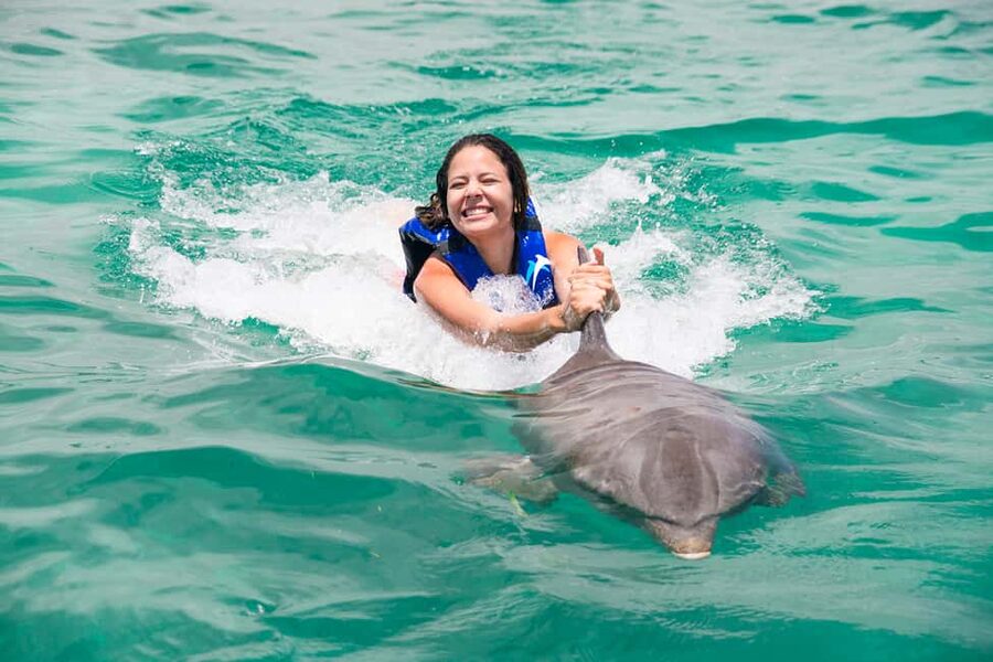 Punta Cana: Dolphin Explorer Swims and Interactions - What to Bring for a Smooth Swim Day