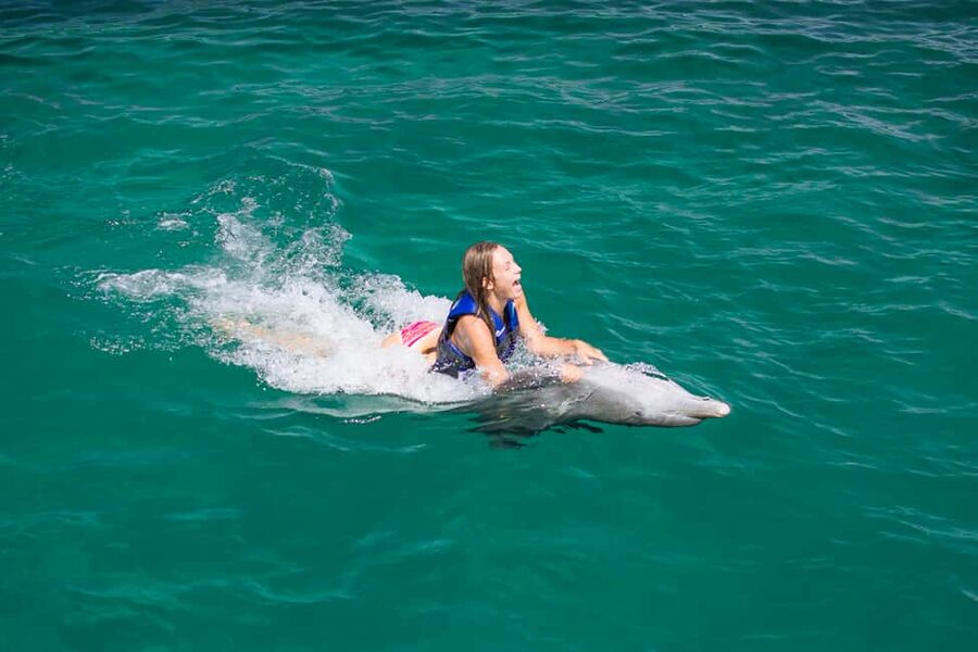 Punta Cana: Dolphin Explorer Swims and Interactions - Getting to Dolphin Explorer: Included Stuff That Saves Time