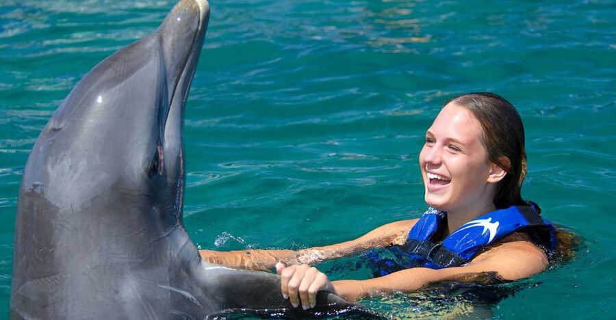 Punta Cana: Dolphin Explorer Swims and Interactions - Is It Worth $120? A Value Check That’s Honest