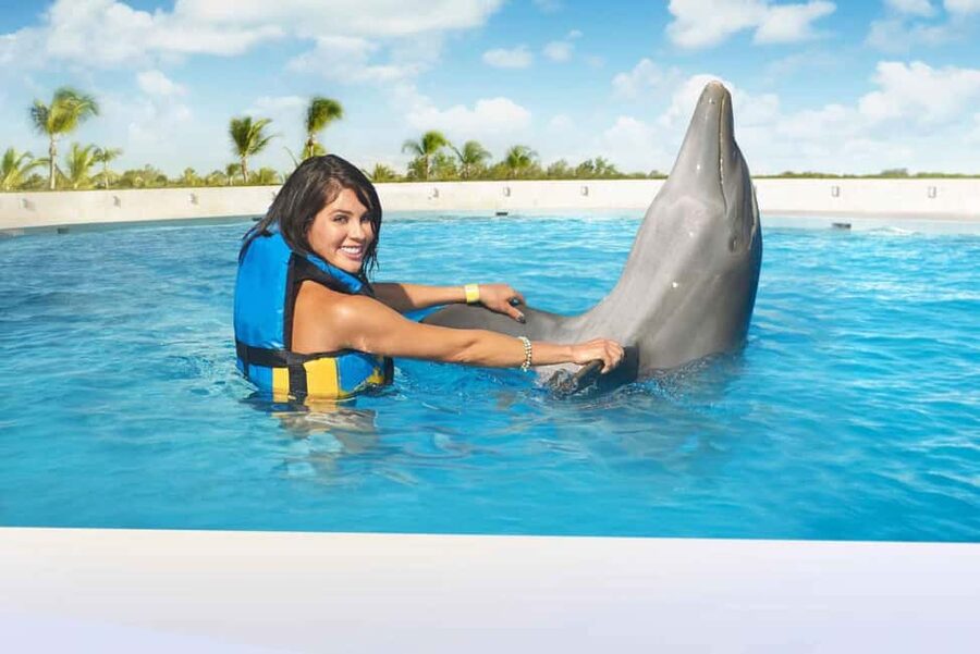Punta Cana: Dolphin Interaction Experience & Hotel Transfers - Key Highlights To Know Before You Go