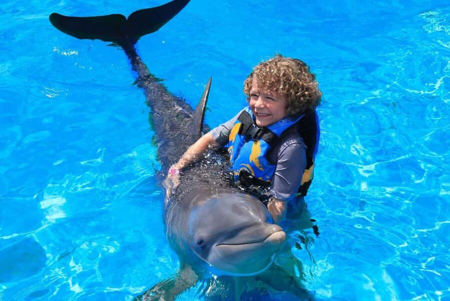 Punta Cana: Dolphin Interaction Experience & Hotel Transfers - Where This Dolphin Experience Fits in Punta Cana