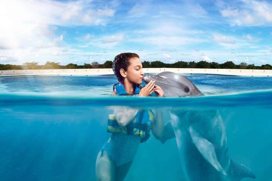 Punta Cana: Dolphin Interaction Experience & Hotel Transfers - The Ray and Shark Tank Stop, More Than a Quick Photo Break