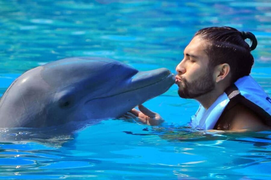 Punta Cana: Dolphin Interaction Experience & Hotel Transfers - Cameras, Photo Sales, and the Real Cost of Memories