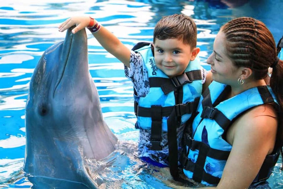 Punta Cana: Dolphin Interaction Experience & Hotel Transfers - Hotel Transfers and the 4-Hour Rhythm