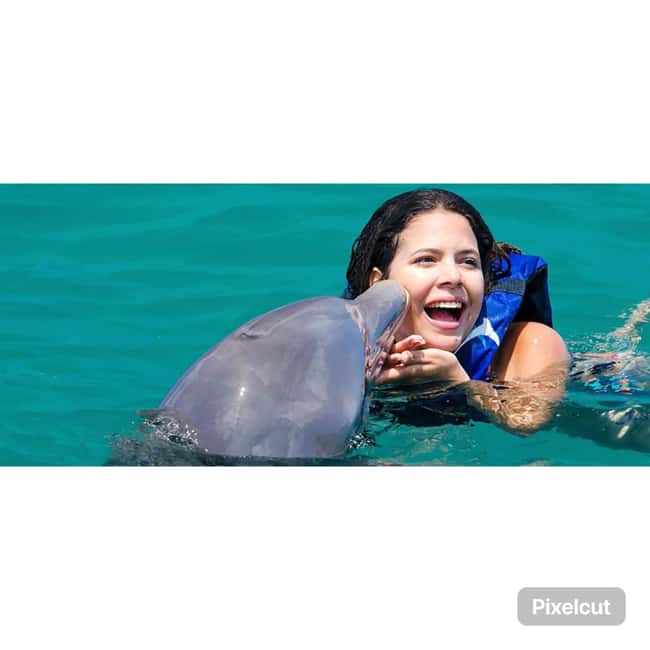 Punta Cana: Dolphin Park Entry and Swim with Dolphins - Key Things I’d Plan Around