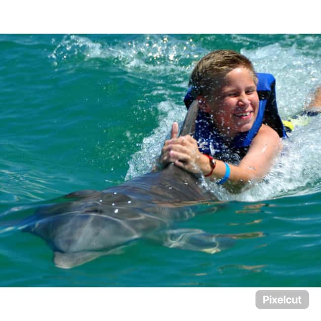 Punta Cana: Dolphin Park Entry and Swim with Dolphins - What You Get in One Hour, Dolphin Park Style