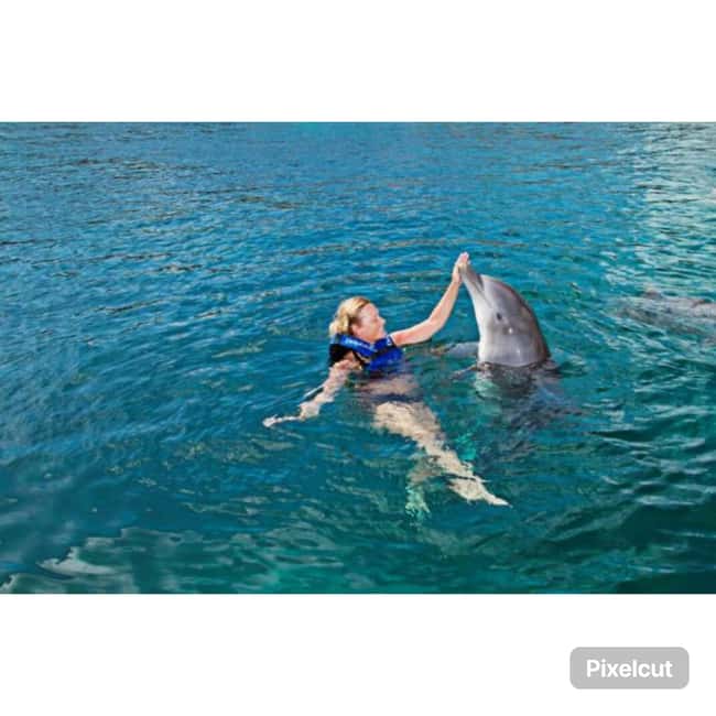 Punta Cana: Dolphin Park Entry and Swim with Dolphins - Orientation, Safety Equipment, and How Trainers Set the Mood