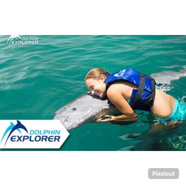 Punta Cana: Dolphin Park Entry and Swim with Dolphins - Start With Pickup and a Quick Reality Check on Timing