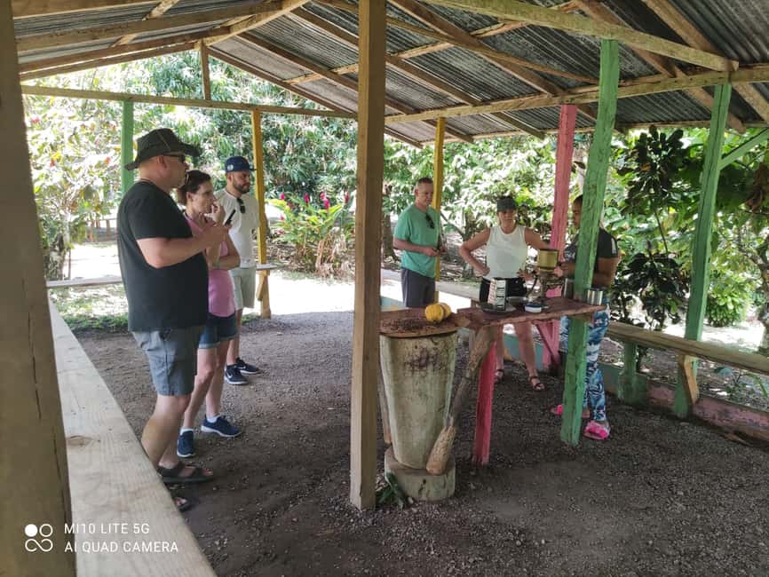 Punta Cana: Dominican Republic Culture Tour - Who This Tour Suits Best (And Who Should Skip)