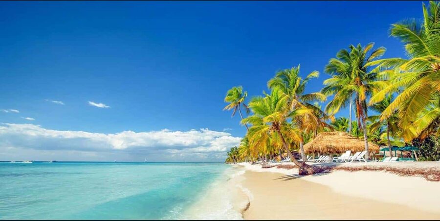Punta Cana : Done Buggy Excursions AtV /cenote on the Beach - Route basics: the ride through coffee and cocoa country