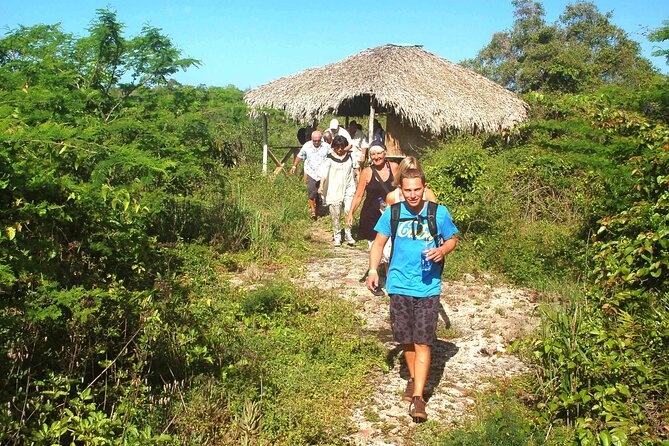 Punta Cana: Eco Jungle Tour - Parque Nacional del Este and the Padre Nuestro jungle trail