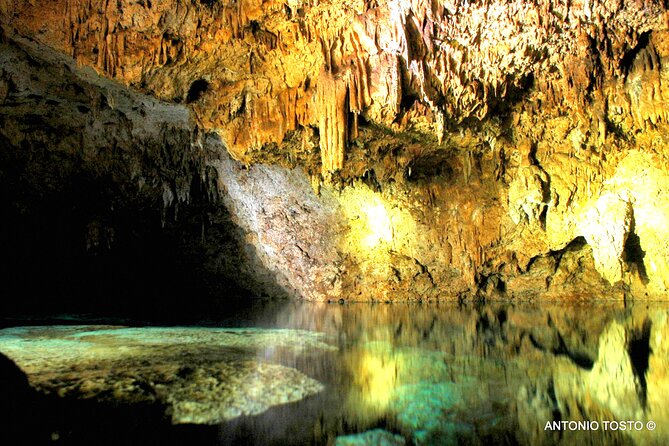 Punta Cana: Eco Jungle Tour - Who this tour fits best, and who should skip it