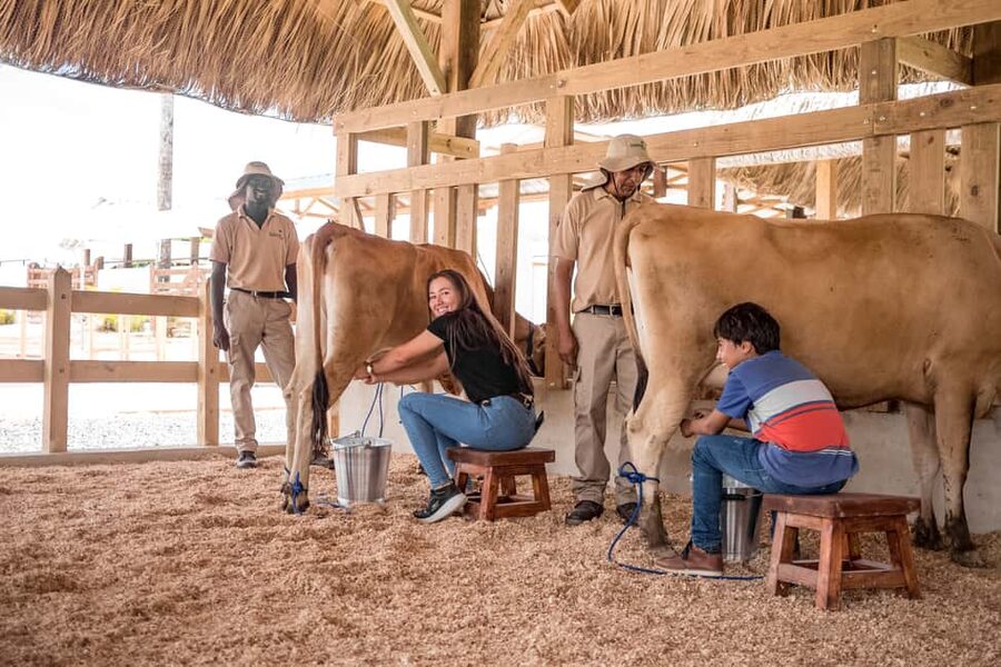 Punta Cana: Eco Park Safari Adventure - Goat-and-pig interactions: why this is the part people remember