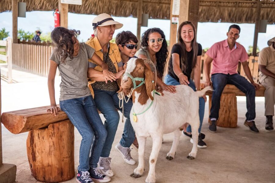 Punta Cana: Eco Park Safari Adventure - The cattle station and milking demonstration