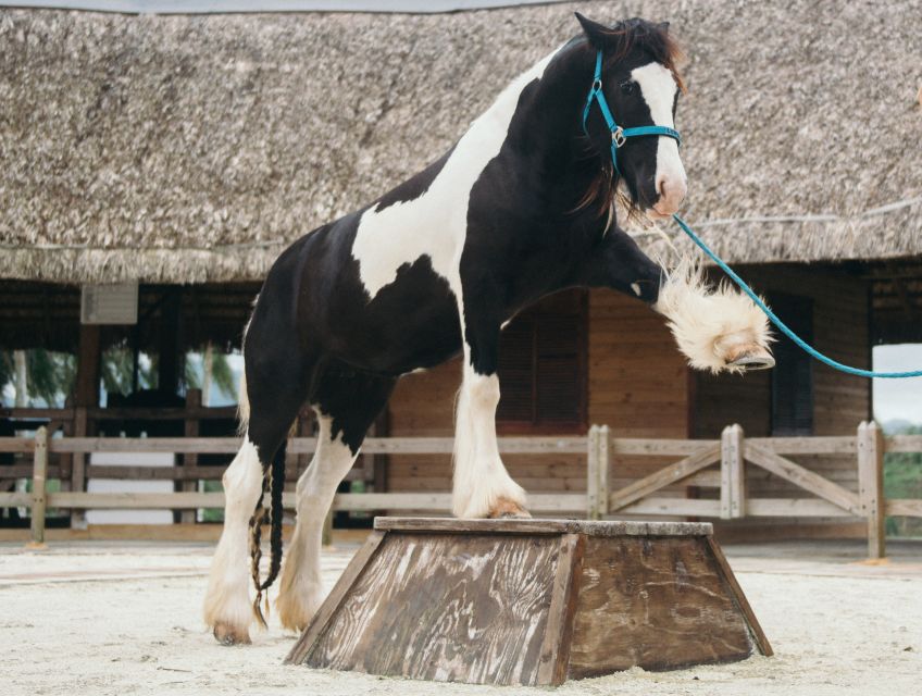 Punta Cana: Eco Park Safari Adventure - Horse riding included: plan your time and bring respect