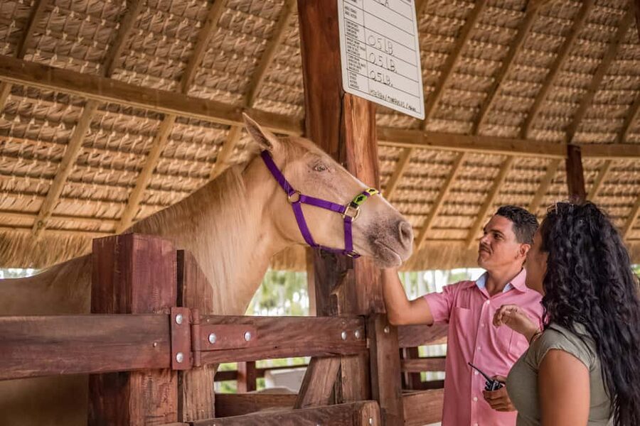 Punta Cana: Eco Park Safari Adventure - Price and logistics for the $90 safari value