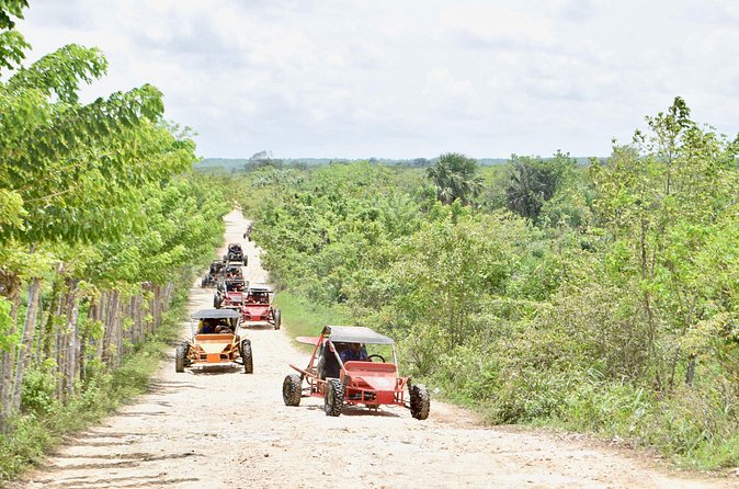 Punta Cana: Ecological Adventure in Buggies from Santo Domingo - Who should book this buggy and beach day
