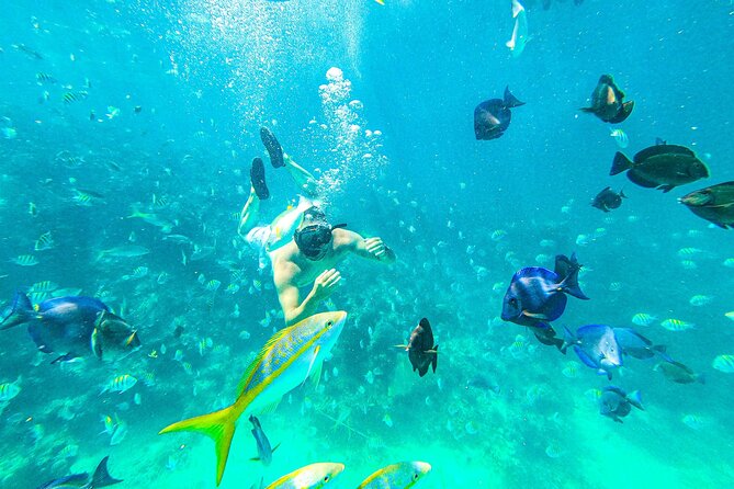 Punta Cana Exclusive Adults-Only Snorkel with Food and Drinks - Key highlights that matter on this trip