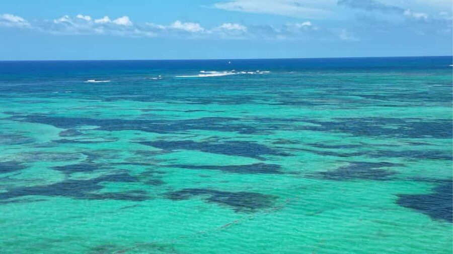 Punta Cana: Exclusive Private Catamaran Tour to Saona Island – VIP Service - The Open Bar Setup: What’s Included, and Why It Matters