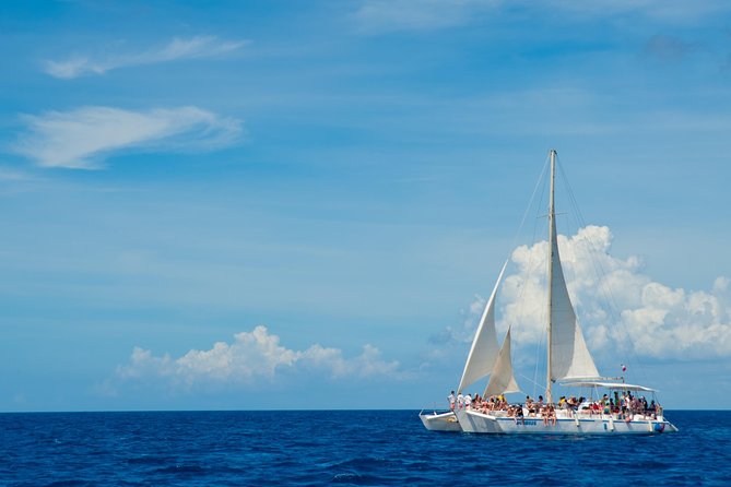 Punta Cana:Exclusive Private Tours for Groups of Up to 7 People - Private vs small group: what you should confirm before paying premium
