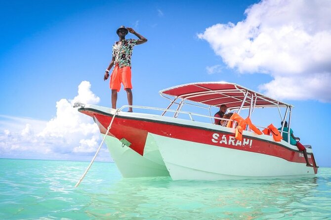 Punta Cana:Exclusive Private Tours for Groups of Up to 7 People - Who this Saona VIP tour fits best