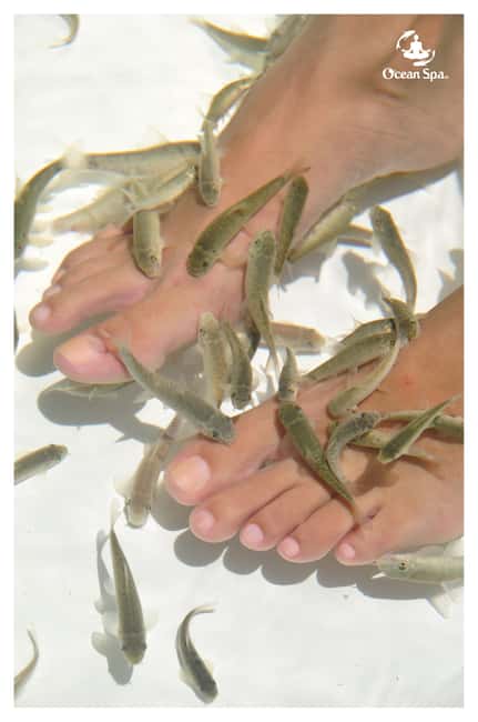 Punta Cana Floating Ocean Spa Experience with Massage & Yoga - Who this 4-hour floating spa fits best