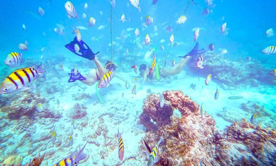 Punta Cana: Guided Power Dive Adventure - Key things I’d plan around