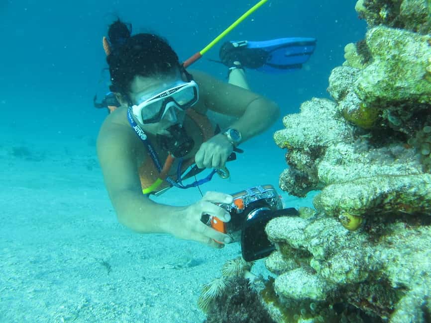 Punta Cana: Guided Power Dive Adventure - Underwater time at the Bavaro barrier reef and natural pools