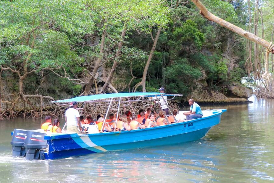 Punta Cana: Haitises, Cano Hondo, Redonda Mountain Day Trip - Who should book this, and who should sit this one out