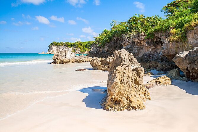 Punta Cana Half-Day Cultural Safari with Lunch and Drinks - Macao Beach: Your Swim Hour and How to Make It Count
