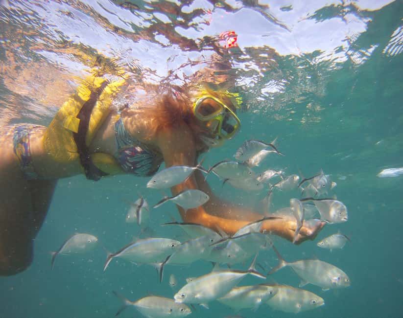 Punta Cana Happy Hour Sailing Cruise - Key Things That Make This Cruise Worth It
