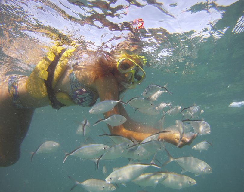 Punta Cana Happy Hour Sailing Cruise - Snorkeling the Bávaro Reef by Cabeza de Toro