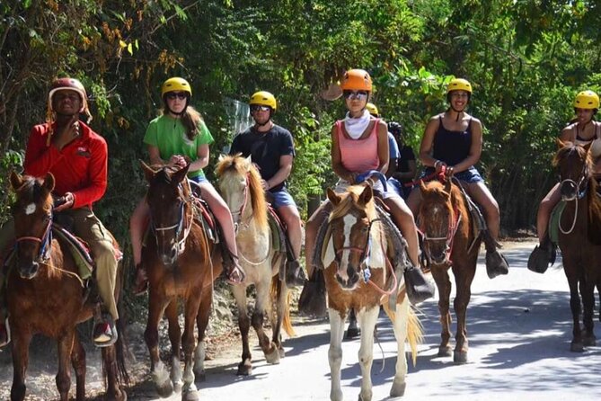 Punta Cana Horse Riding for Beaches in Field - Beach Horse Riding in Punta Cana, What You’re Really Buying