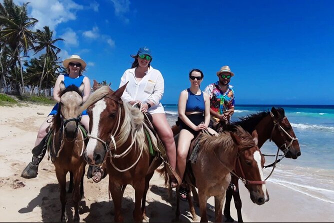 Punta Cana Horse Riding for Beaches in Field - Quick Practical Tips Before You Go