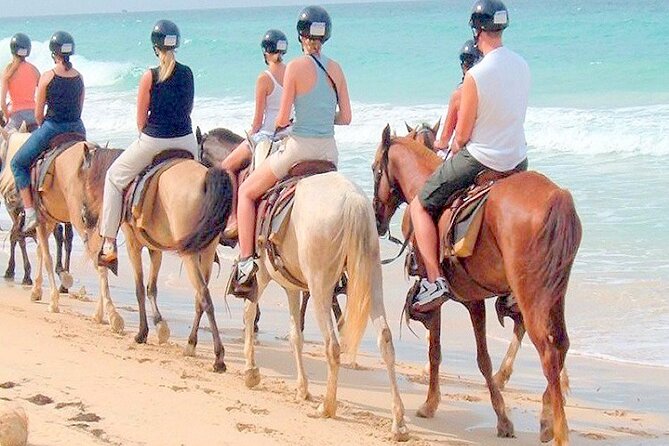 Punta Cana Horse Riding for Beaches in Field - The 2-Hour Timeline: Why Short Works Better Here