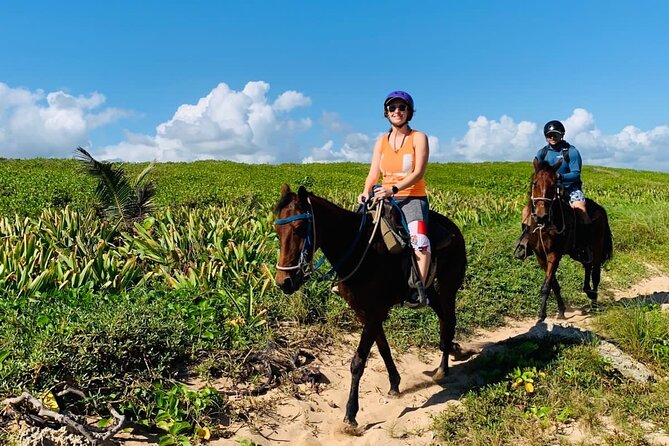 Punta Cana Horseback Ride: Jungle, Macao Beach & Free Pick Up - Stop for Dominican life: the typical house visit