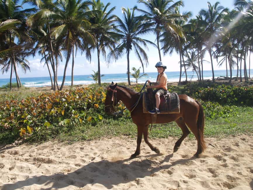 Punta Cana: Horseback Ride to Macao Beach - Key highlights to know before you book