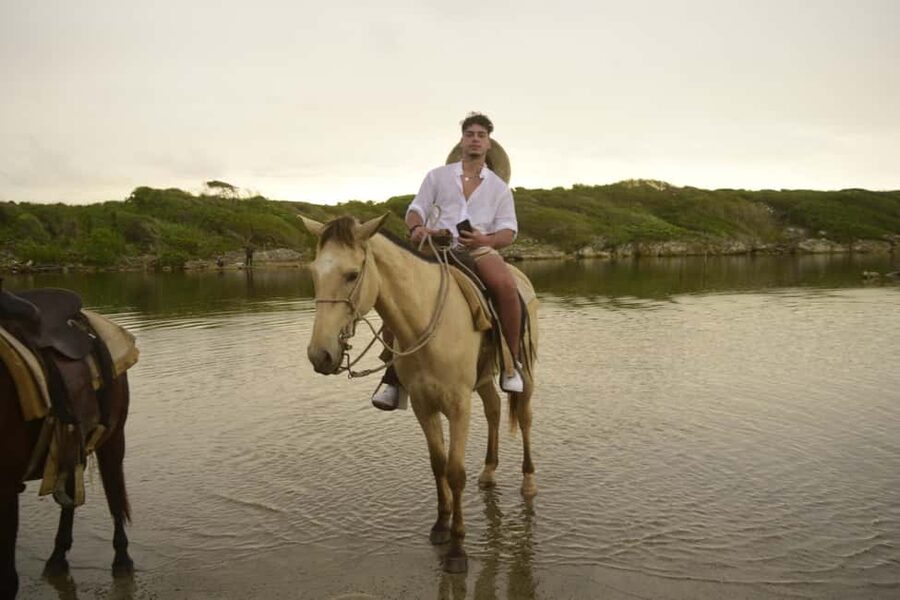 Punta Cana: Horseback Ride to Macao Beach - Guide quality and horse pairing: Juan, Hector, and Vasilio