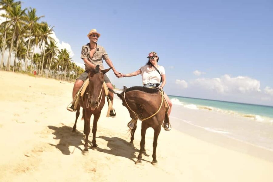 Punta Cana: Horseback Ride to Macao Beach - Price and time: is a 2-hour ride worth $90?