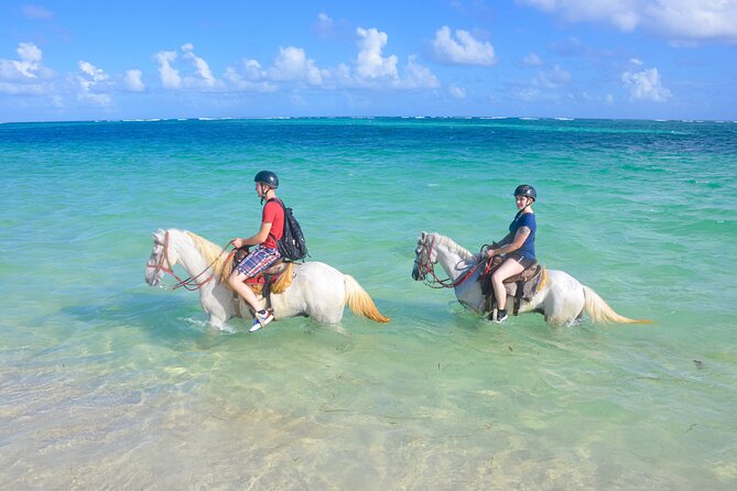 Punta Cana Horseback Riding Adventure - Key Points Before You Go