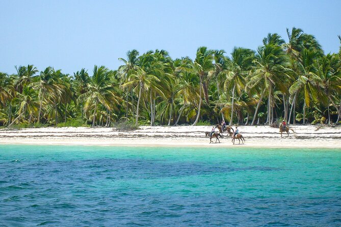 Punta Cana Horseback Riding Adventure - The Stable Start: Safety Briefing and Horse Matching