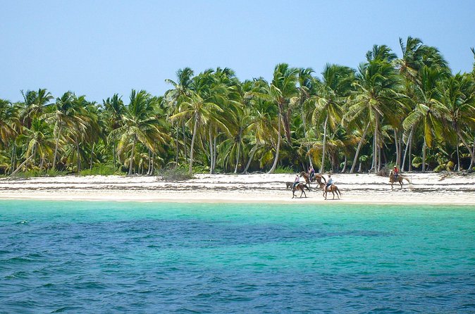 Punta Cana Horseback Riding Adventure - Riding Through the Dominican Countryside