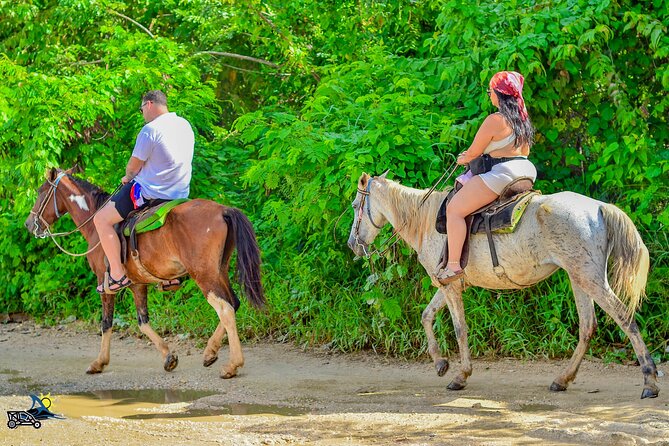 Punta Cana Horseback Riding Adventure on Macao Beach - Macao Beach finale: waves, sand, and limestone cliff views