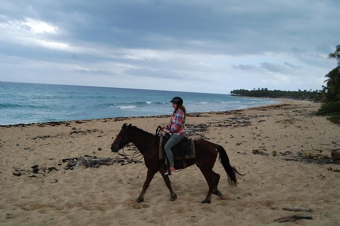 Punta Cana Horseback Riding on the Beach - Quick take: what stands out