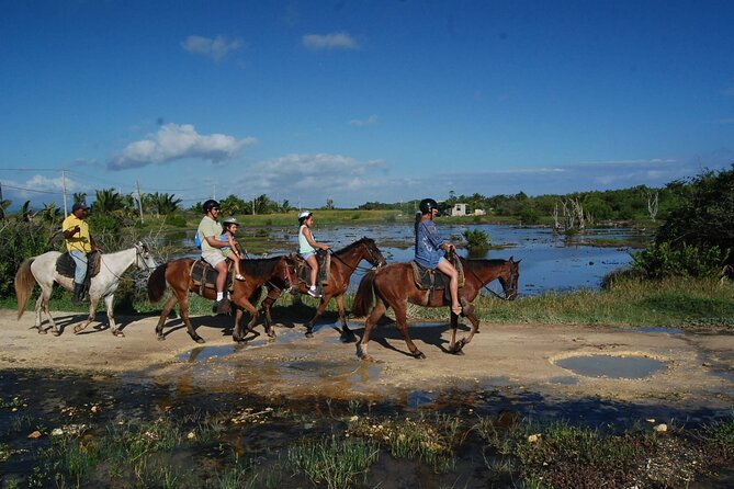 Punta Cana Horseback Riding on the Beach - Swimming Moments and Ocean Cooling, If You Want It