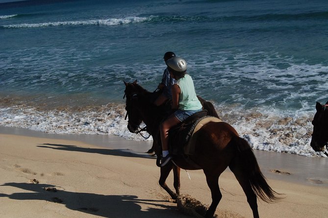 Punta Cana Horseback Riding on the Beach - The Scenic Finish: Where the River Meets the Ocean