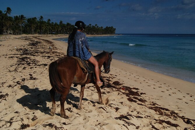 Punta Cana Horseback Riding on the Beach - Wildlife Close-Up, Without the Lecture
